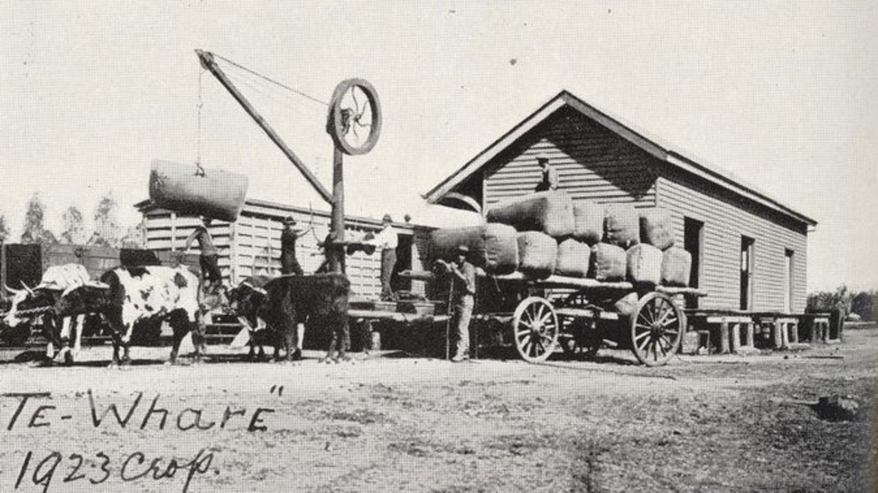 Cotton from Te-Whare in the Wondai District, featured in the 1923 Queensland Agricultural Journal. Source: Fryer Library, UQ