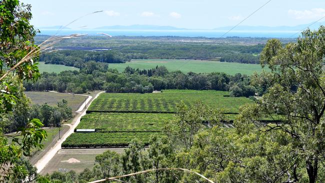 The view from the lower Paluma ranges at Coolbie between Ingham and Townsville. Picture: Cameron Bates