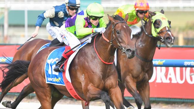 Terilee won well on debut at Caulfield in April before a luckless run at her next start. Picture: Pat Scala/Racing Photos