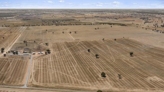 Oak Plain has been cropped by a two-family partnership for the past 25 years.