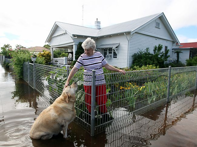 <p>The small town of Rupanyup, about 40km west of Horsham, has been completely flooded by the rain overnight.</p> <p>Mary Colquhoun with Louey in the front yard of her home surrounded by water.</p> <p>Picture: Ben Swinnerton</p>