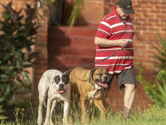 Holschier, 51, with his dogs in Sydney on Sunday. Picture: Jenny Evans