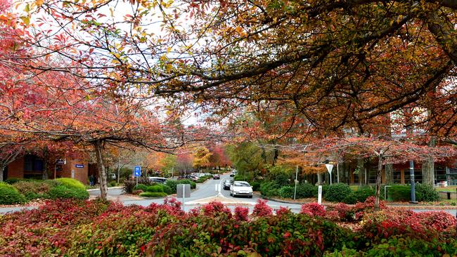 Stirling’s main street – beautiful one day and perfect the next. Pic: Tricia Watkinson