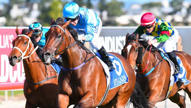 Jockey Jeff Lloyd rides Whypeeo (No.6) to win at the Gold Coast on August 26, 2017. Photo: AAP Image/Albert Perez