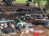 Fire at popular park displaces homeless and damages heritage tree