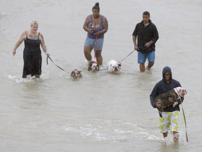 People walk with dogs along a street at the east Sam Houston Tollway from rescue boats as evacuations continue from flooding in Houston, Texas, Monday, Aug. 28, 2017, following Tropical Storm Harvey. Floodwaters reached the rooflines of single-story homes Monday and people could be heard pleading for help from inside as Harvey poured rain on the Houston area for a fourth consecutive day after a chaotic weekend of rising water and rescues. Picture: AP