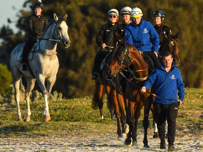 Not a bad posse: Winx alongside strapper Umut Odemislioglu joins her stablemates Youngstar, Unforgotten, The Autumn Sun and D'argento (left) at Altona beach. Picture: Getty Images