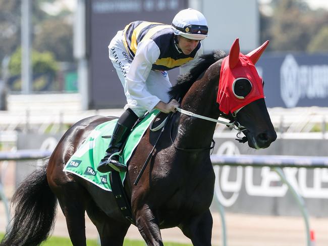 Queensland Derby Warmonger  is set for a Sydney campaign after a pleasing Geelong trial on Wednesday. Picture: Racing Photos via Getty Images.