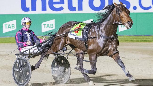 Captain Hammerhead in full flight at Melton Picture: Stuart McCormick