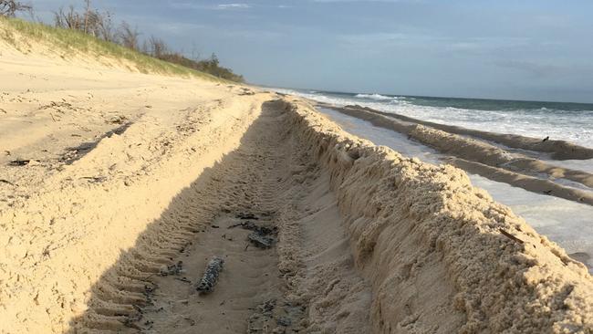 Conservation groups say damage to Bribie Island’s beaches from 4WDs has to end. Photo supplied.