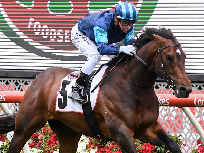 Portland Sky ridden by Ben Melham wins the PFD Food Services Red Anchor Stakes at Moonee Valley Racecourse on October 23, 2020 in Moonee Ponds, Australia. (Pat Scala/Racing Photos via Getty Images)
