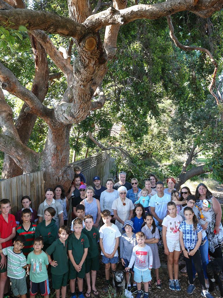Residents aren’t happy two trees may be cut down to make way for a huge development in Hampton. Picture: Ian Currie