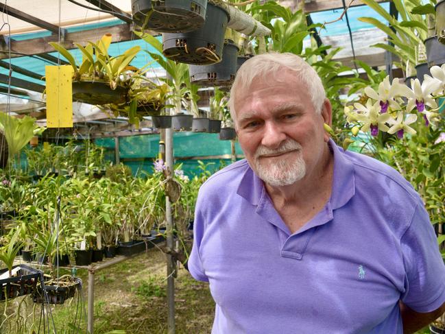 Green thumb Ron Bassan, from Beaconsfield in Mackay, has about 4000 orchids in his greenhouse. Picture: Rae Wilson