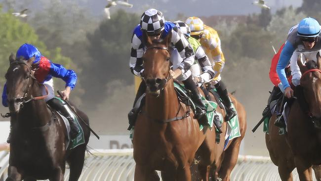 Nugget has found a winnable race after running against some top-class gallopers first-up. Picture: Mark Evans/Getty Images