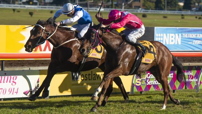 Evopex (outside) ridden by Matt McGuren kicks past Cool Prince ridden by Ben Looker to win the 2019 Maclean Cup.