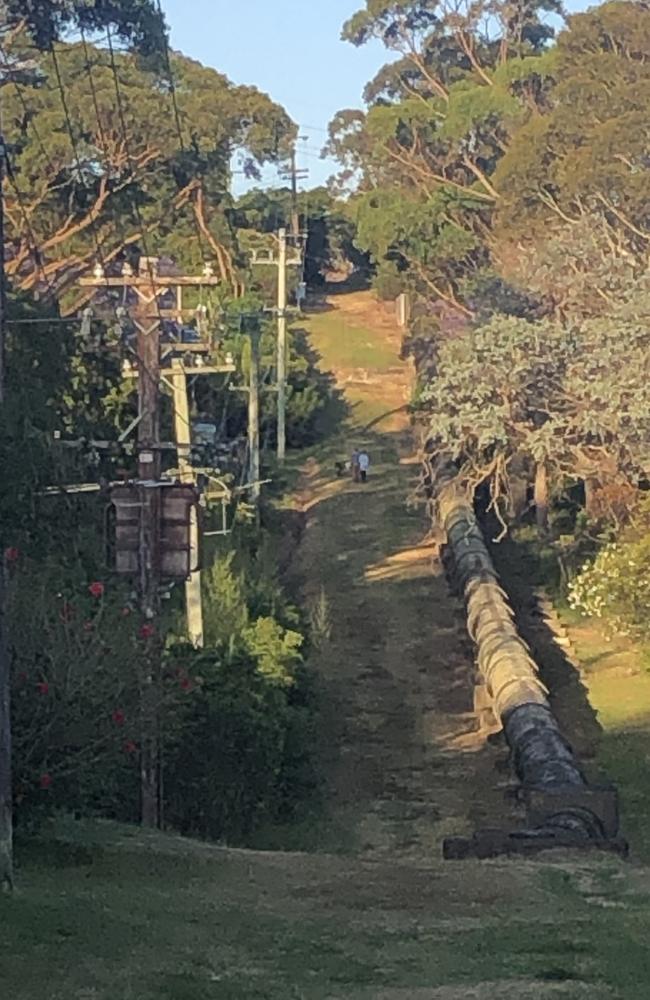 A section of the Sydney Water pipeline between Beacon Hill and Allambie Heights that is popular with dog walkers. Picture: Jim O'Rourke