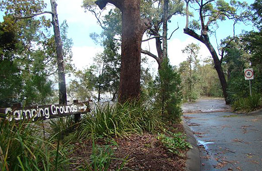 Flooding at Boreen Point | The Courier Mail