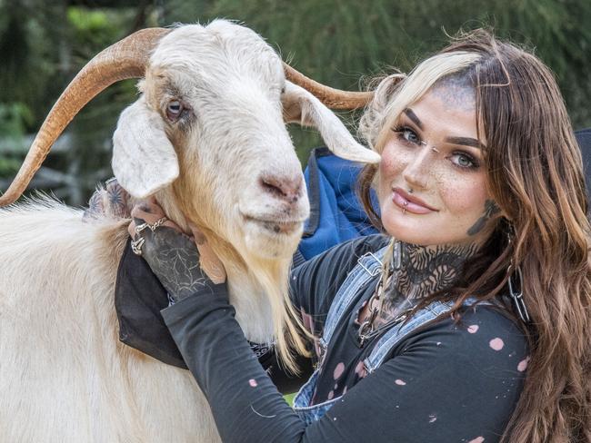 ‘Find Gaz a Shaz’: Pet owner’s petition to find her goat love