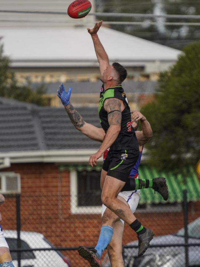 SFNL: Doveton’s Dylan Chapman wins the tap. Picture: Valeriu Campan