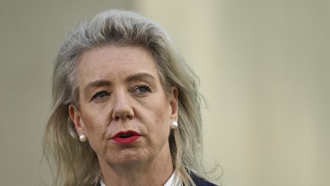 Opposition transport spokeswoman Bridget Mckenzie says Labor must strike the right ‘balance’ on fuel efficiency. Picture: NCA NewsWire / Martin Ollman