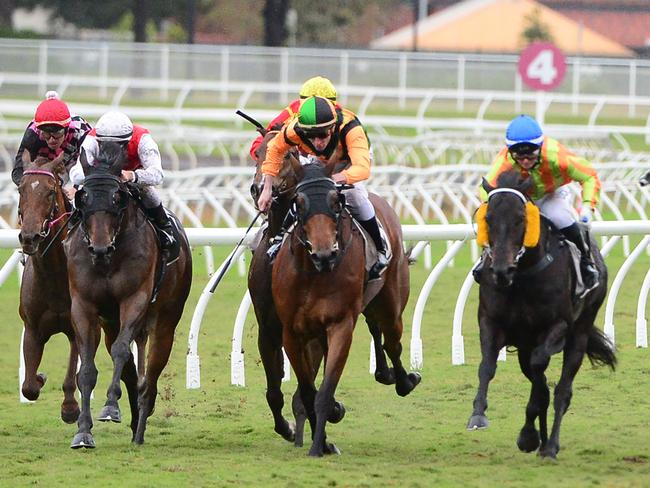 No clods to be seen as the Eagle Farm surface is tested under wet conditions.