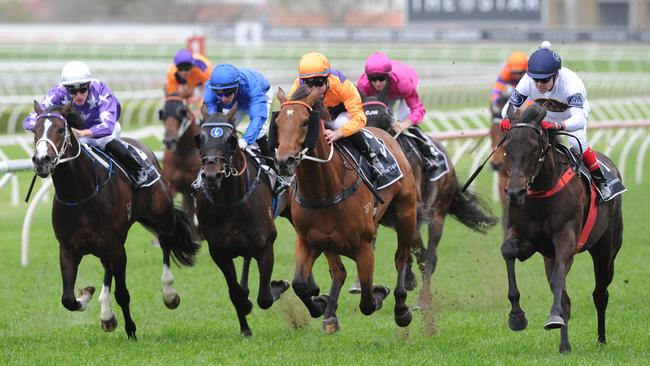 Yankee Rose, right, proved too strong for her male rivals on Saturday.