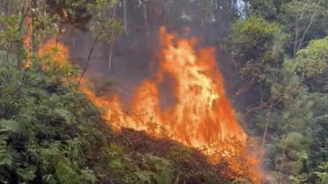 Bush fire at Currumbin Valley. Picture: Charlton Hart.