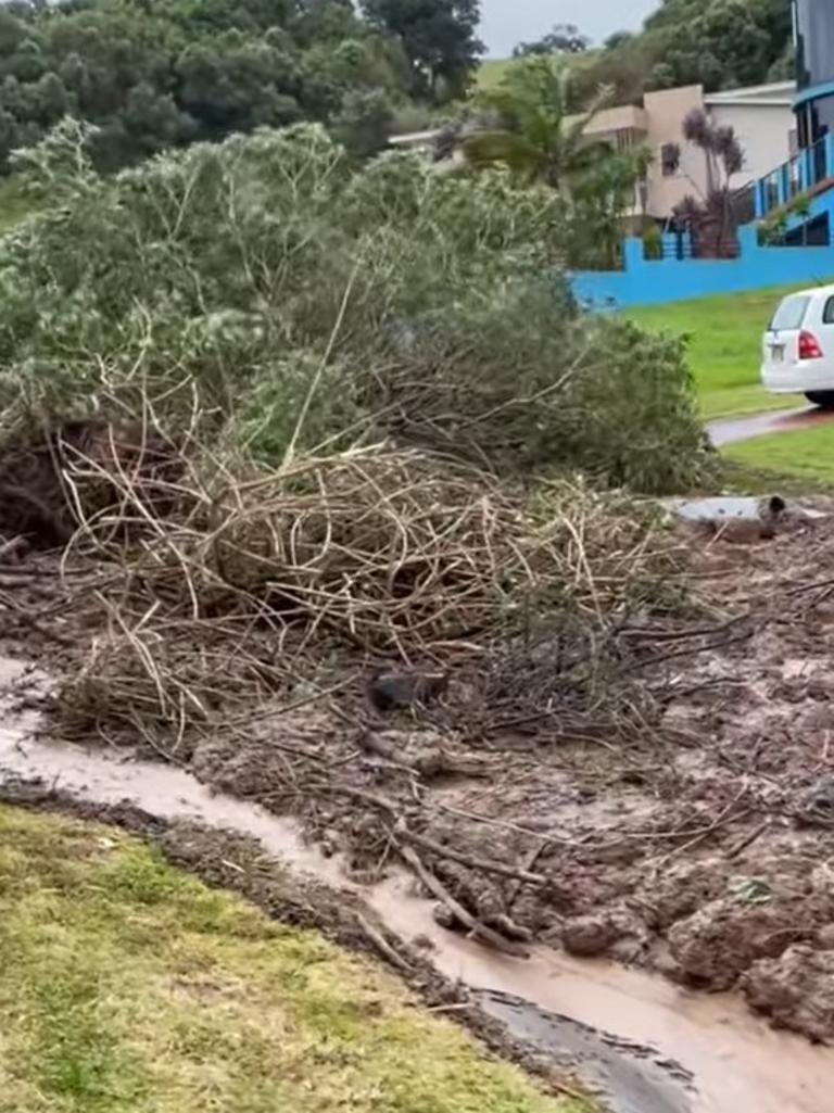 The tree was uprooted and caused a landslide. Picture: Facebook/ NSW SES Dapto Unit.