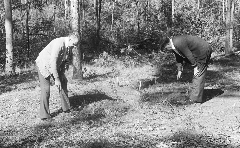 Police search in the Murphys Creek area following the murder of two Sydney nurses Lorraine Wilson and Wendy Evans in 1974. Picture: The Chronicle Archives