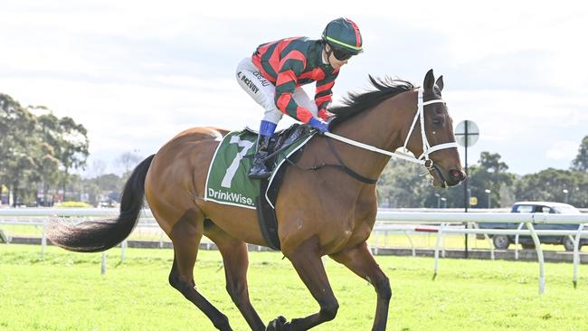 Pink Shalala can kick off his latest preparation on a winning note at Kembla. Picture: Bradley Photos