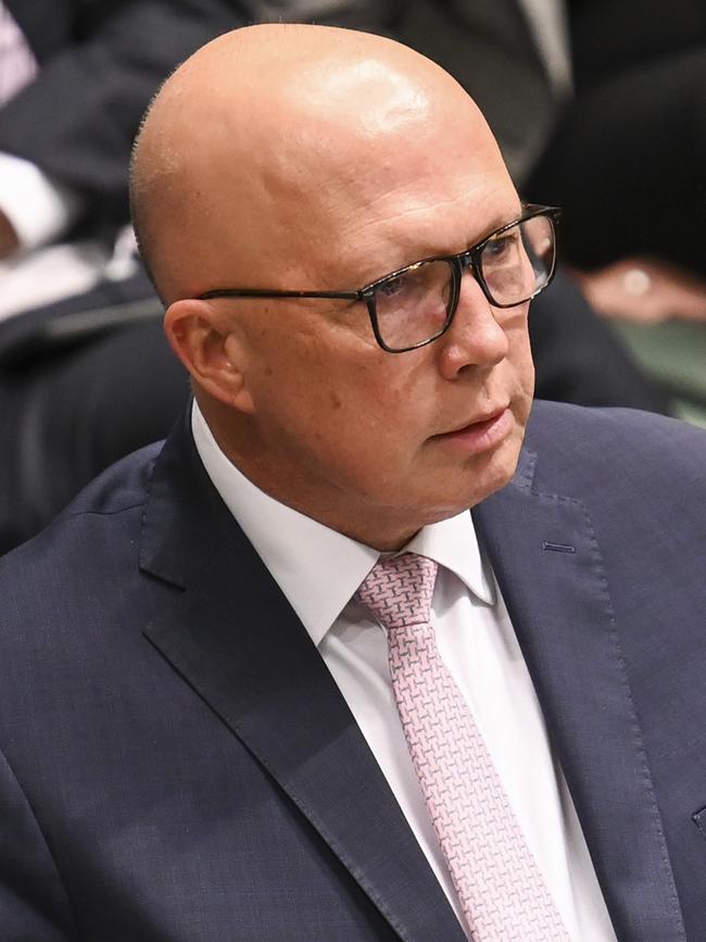 Opposition leader Peter Dutton has accused Labor of trying to tax family cars and utes. Picture: NCA NewsWire / Martin Ollman