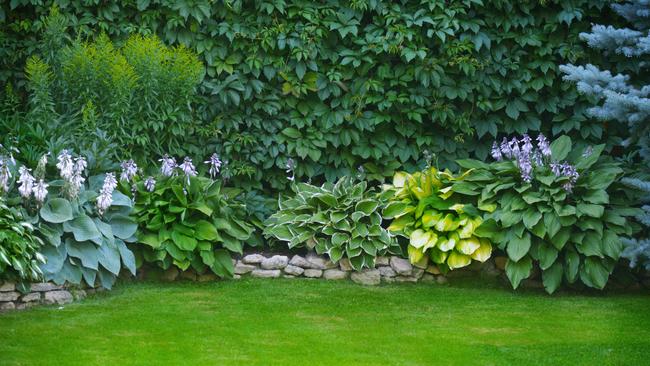 Beautiful garden and a lawn with the greenest of grass. Dreamy. Image: iStock.