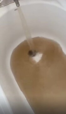 Residents share disgusting pictures of undrinkable Kingaroy tap water