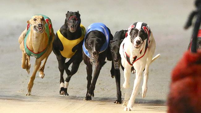 The proposed $1500-a-dog compensation package is not considered enough to placate senior Nationals opposing the ban.