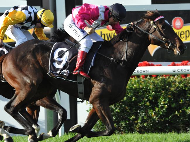 16.4.2016 Ascot Races. race 7 no. 9 Arcadia Dream ridden by William Pike wins the W.A.T.C. Derby. .