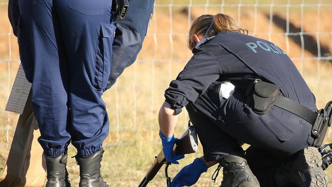 Police pick up a rifle after an alleged home invasion. Picture: John Grainger