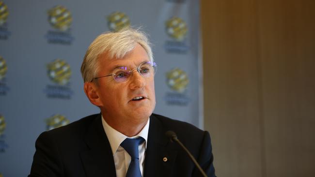 FFA chairman Stephen Lowy. Picture: Tim Hunter