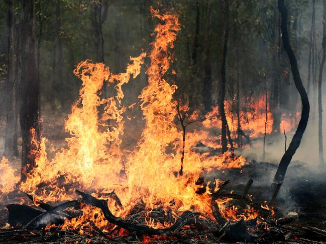 The Forestry Corporation will conduct hazard reduction burning in coming days.