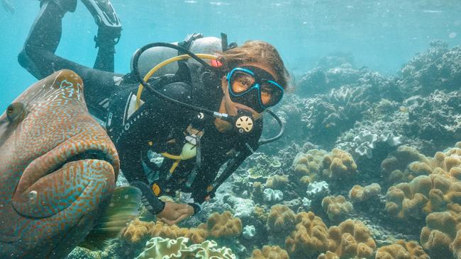 Queenslanders were offered $200 vouchers to visit the north.