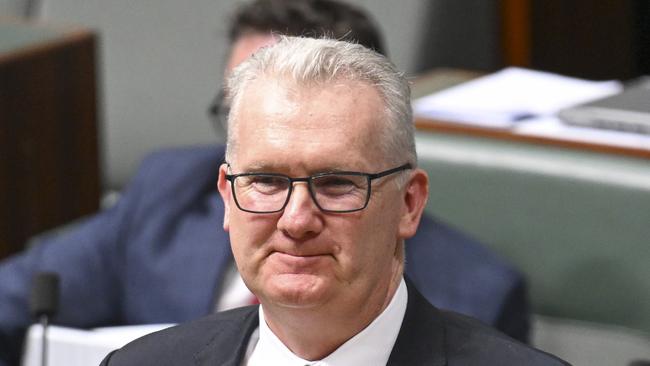 Home Affairs Minister Tony Burke. Picture: NewsWire / Martin Ollman