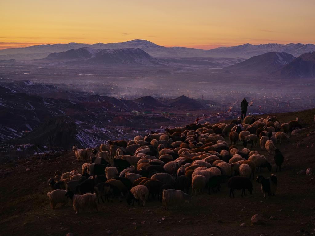Image Name: A Taste of Everything Photographer Name: Nuket Uluc Year: 2018 Image Description: Turkey, Commended, Open Culture and Winner, Turkey National Award. Picture: Sony World Photography Awards/ Nuket Uluc