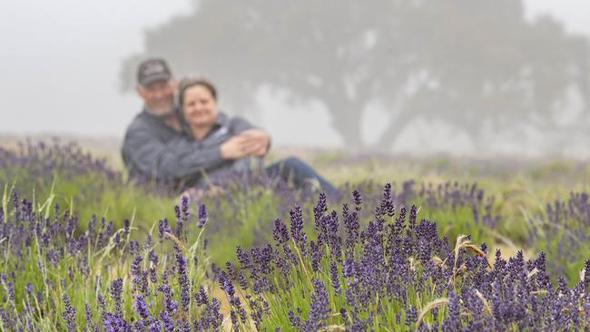 Stuart and Sonia Whiteman own and operate Chin Chin Farm, the only commercial lavender farm in the Eastern Macedon Ranges. Picture: Zoe Phillips