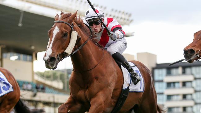 Pinstriped has a great chance to post a first-up win when the Enver Jusufovic-trained gelding steps out in Saturday’s Group 2 PB Lawrence Stakes at Caulfield. Picture: Racing Photos via Getty Images