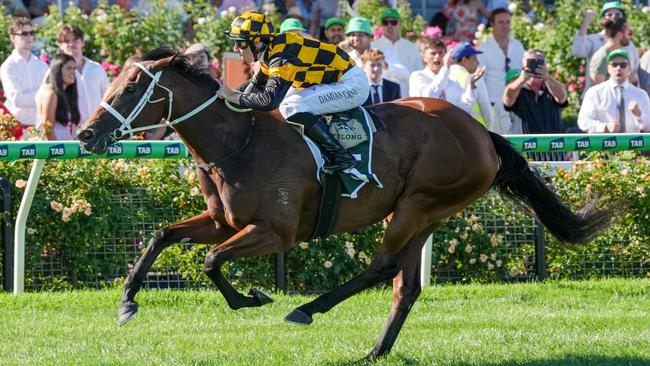 Joliestar is the $3.30 favourite for the Kingsford Smith Cup Picture: George Sal