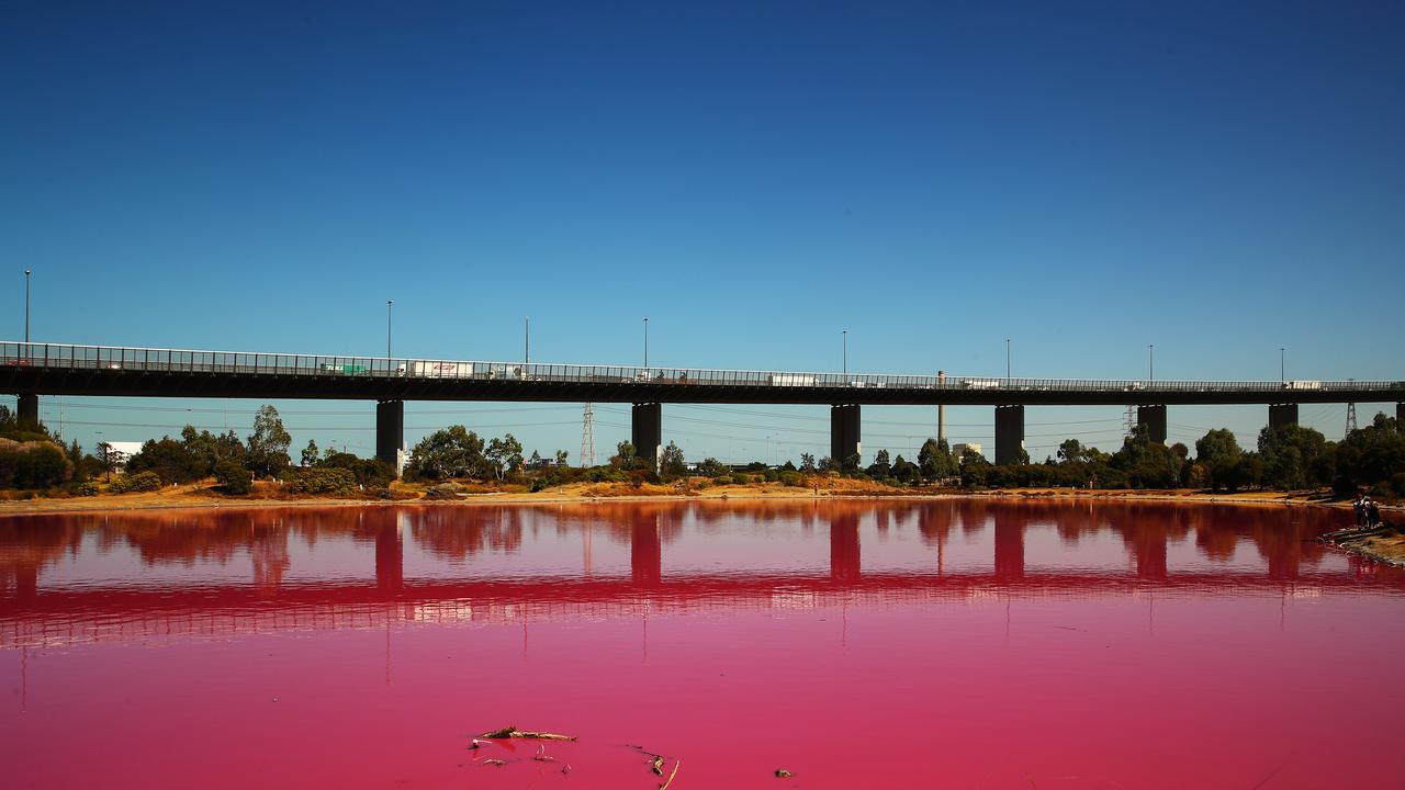 Melbourne’s Westgate Park inland lake turns pink in warmer months thanks to algae blooms. Picture: Scott Barbour/Getty Images