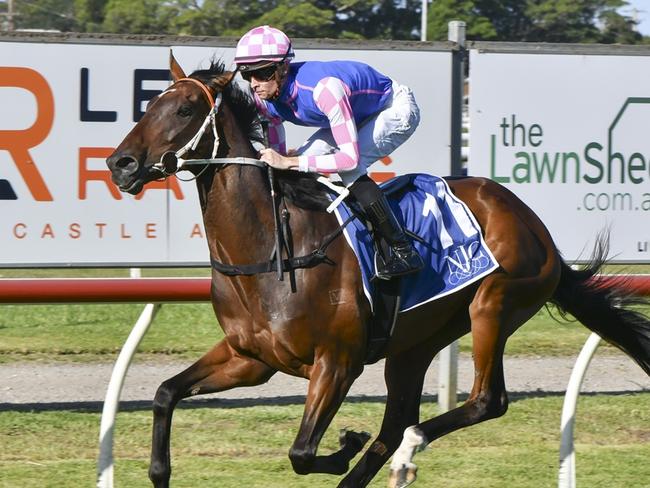 Race 9 - Newcastle, 18/11/2023, Winner - Tavi Time, Jockey - Dylan Gibbons, Picture: Bradley Photos