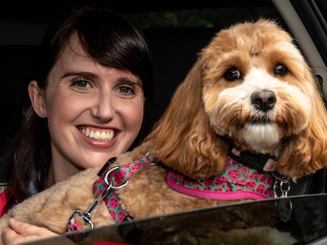 Yvette Cormack with Leilani (cavoodle) about to take a ride with Uber Pets at Centennial Park on Sunday, 8 March 2020. (Image / Monique Harmer)