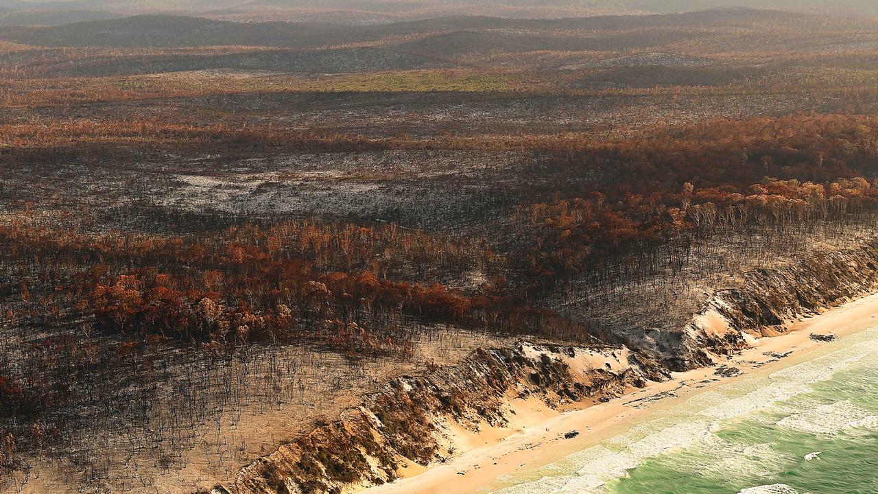 07/12/2020: The burnt aftermath of the bush fire on world heritage listed Fraser Island. Pic Lyndon Mechielsen