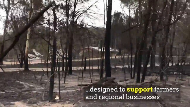 Push For Backpackers To Help With Bushfire Recovery Au — Australias Leading News Site 4815