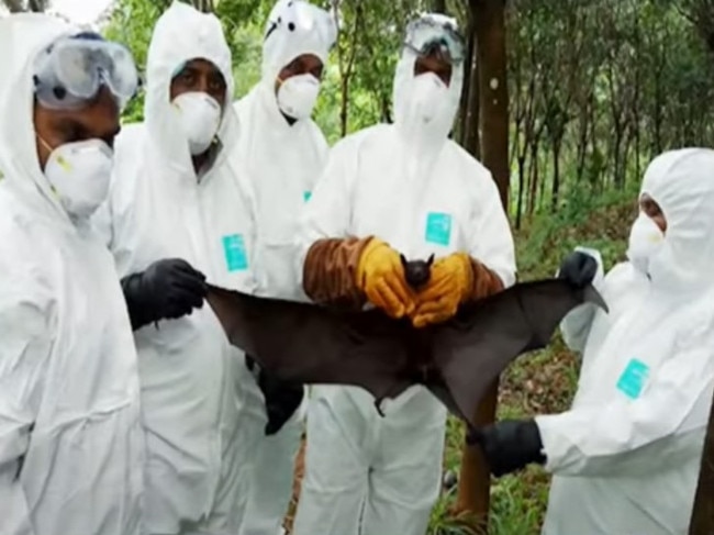 The Nipah virus is a major concern due to the high fatality rate.